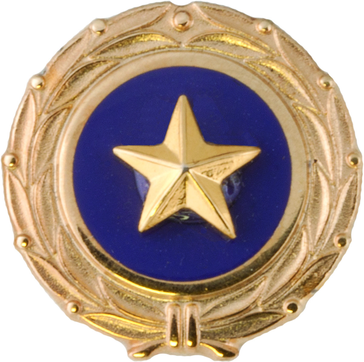 3-Dimensional Gold Star Pin