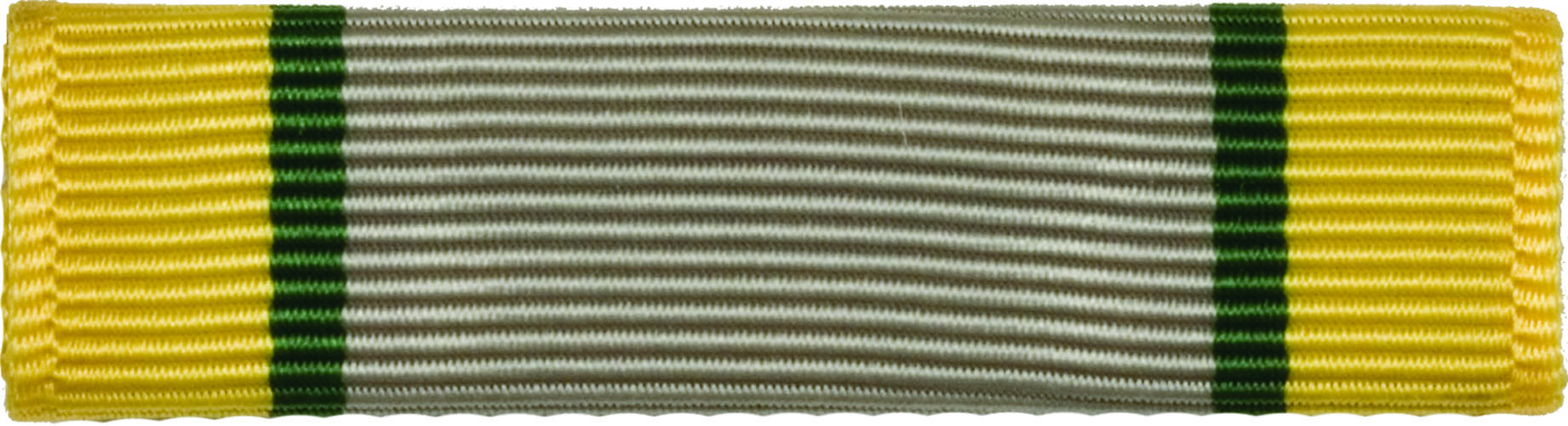 ROTC Ribbon (RCR105) Student Government (N15) US Military
