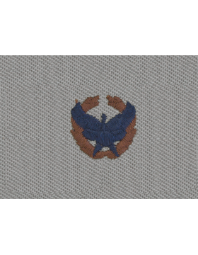 Air Force ABU Sew-on Commanders Badge