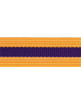 Sleeve Braid, Civil Affairs, One Cut