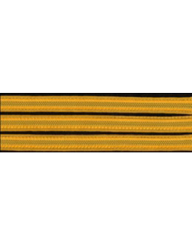 gold stripe army dress blues Enlisted Gold on Blue Hashmarks / Service Stripes main image 1