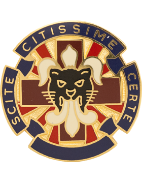 13th CSH Wisconsin National Guard Unit Crest (Scite Citissime Certe)