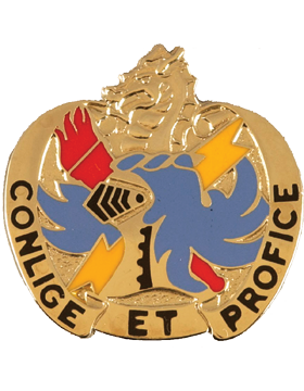 202nd Military Intelligence Battalion Unit Crest (Conlige Et Profice)