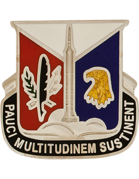 921st Support Battalion (Pauci Multitudinem Sustinent)