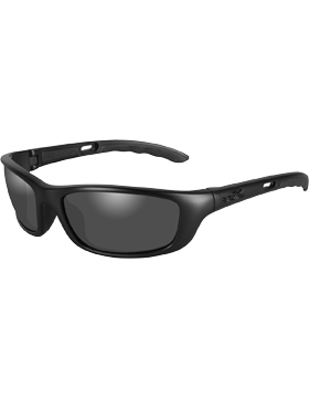 P-17 Black Ops Glasses with Smoke Gray Lenses