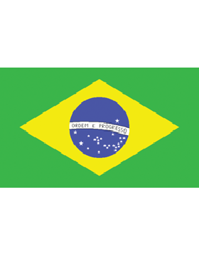 Outdoor Flag Brazil (6) 3'x5' No Fringe