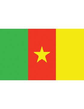Outdoor Flag Cameroon (6) 3'x5' No Fringe