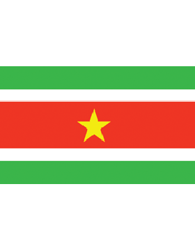 Indoor Flag Suriname 1 3 X5 No Fringe Supply Room Ltd