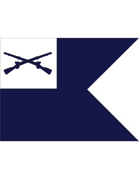 Army Guidon 6-46A Infantry Training Center