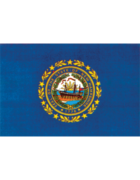 New Hampshire State Flag Indoor Pole Hem Plain