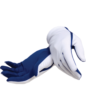Flash Gloves (G-302F) Navy Blue and White
