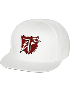 Gadsden City Flexfit Adult Pro-Formed Solid Cap 110C