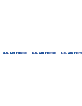 U.S. Air Force Lanyard