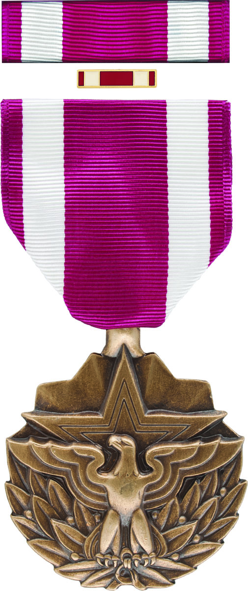 Meritorious Service Medal Box Set with Lapel Pin