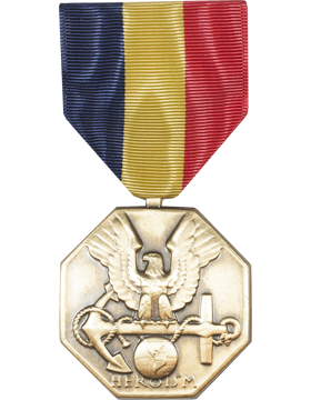 Navy & Marine Corps Full Size Medal | US Military