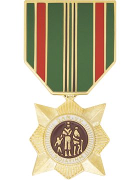 Vietnam Civil Action 1st Class Medal Hat Pin