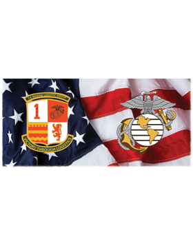 1 Marine Logistics GP, Flag with Globe and Anchor