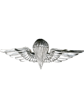 No-Shine (NS-956) Egyptian Jump Wings (Silver)