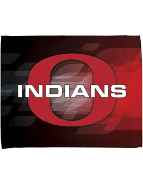 Ohatchee Indians Car Flag