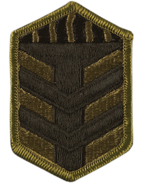 5th Brigade Training Subdued Patch