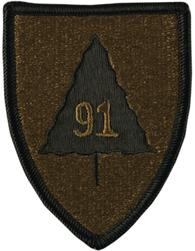 0091 Infantry Division Subdued Patch