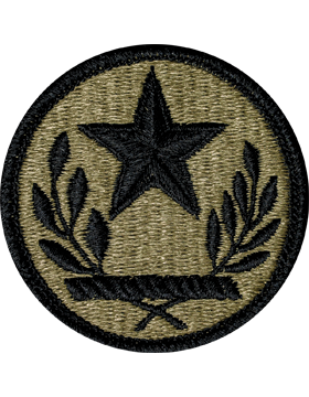 Texas National Guard Headquarters Scorpion Patch with Fastener
