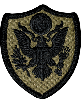 Personnel In Department Of Defense and Joint Activities Scorpion Patch with Fast