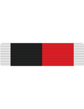 Navy Occupation Service Ribbon