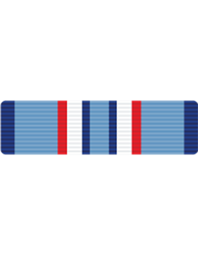 Distinguished Warfare Ribbon
