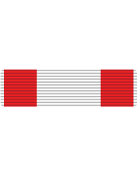 RVN Training Service Ribbon