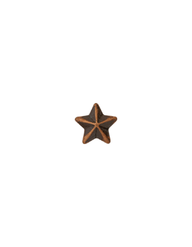 Ribbon Device, 3/16 Bronze Star