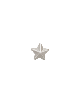 Ribbon Device, 3/16 Silver Star