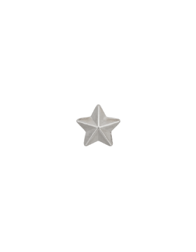 Ribbon Device, 5/16 Silver Plate Star