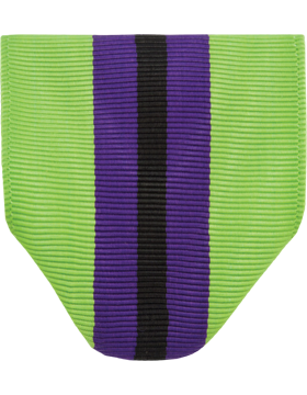 RC-D240 BN CDR's Military Award Drape (R-3-10)