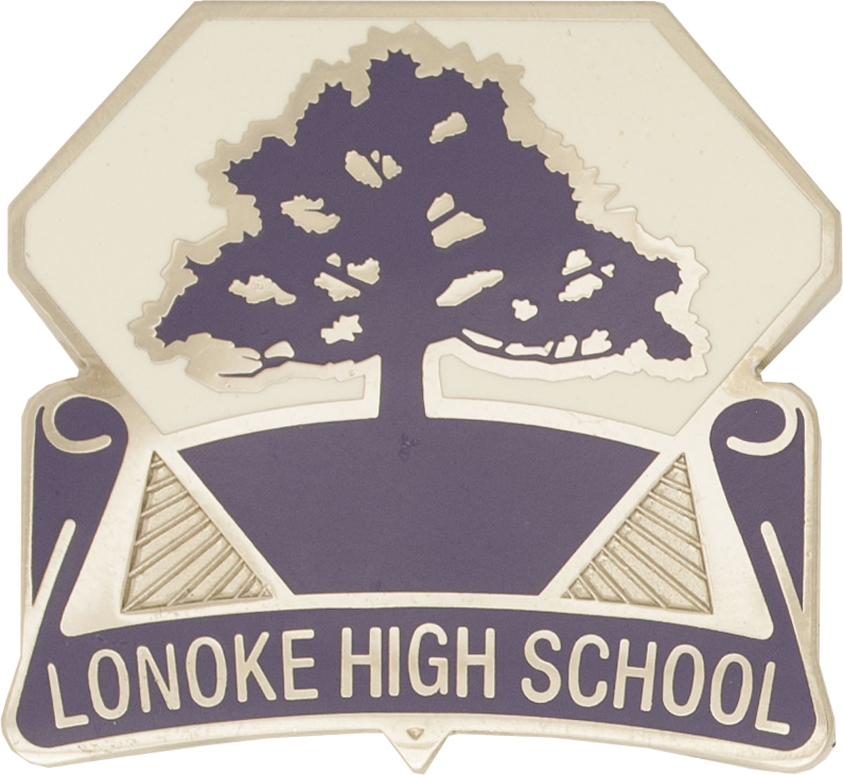 Lonoke High School JROTC Unit Crest