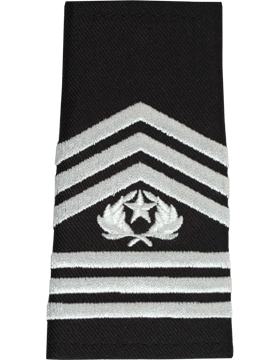 LOTC Shoulder Mark Command Sergeant Major Male (Pair)