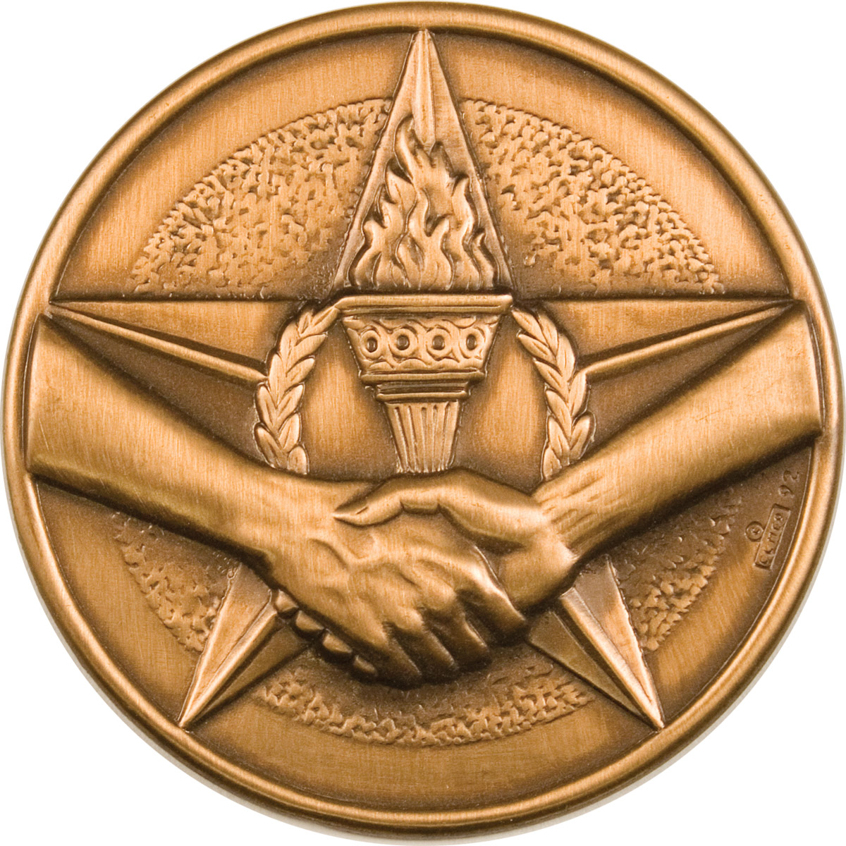 ROTC Medal Insert (RC-MI209A) Achievement w/ Star Torch & Hand Inse...