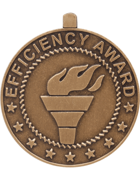 ROTC Medal (RC-ML151C) Efficiency Award Bronze