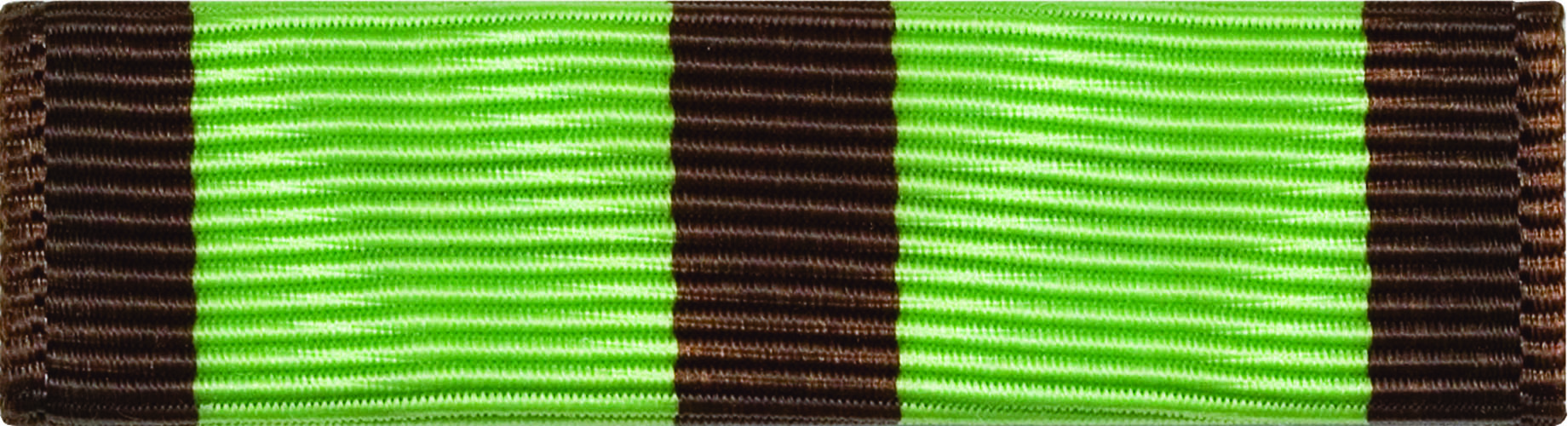ROTC Ribbon (RC-R239) Color Guard