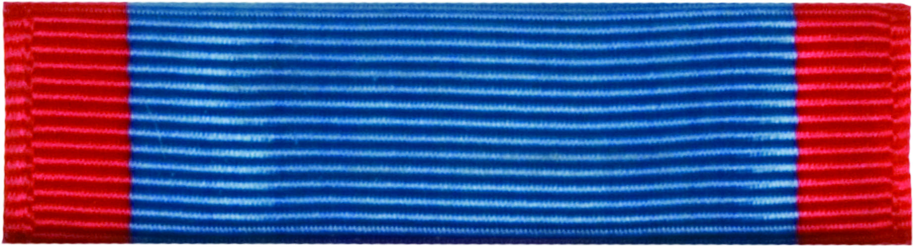 AFROTC Ribbon (RCR409) Markmanship Award (217C) US Military