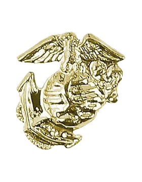 Marine Corps Emblem Ribbon Device Gold