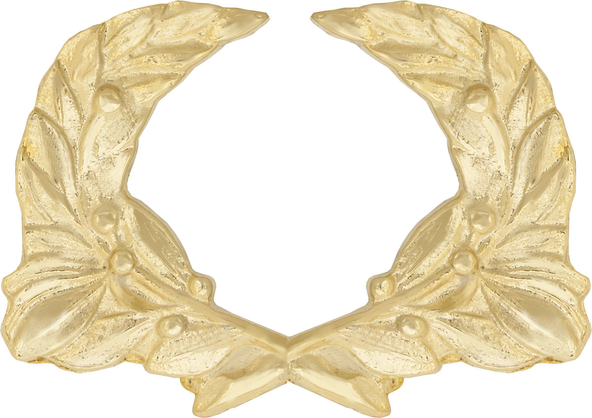 Academic Achievement Wreath