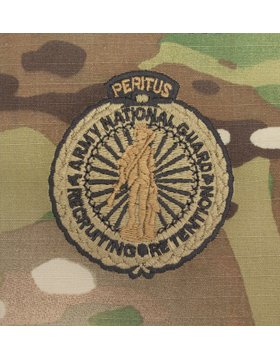 Scorpion Sew-on SWV-433 National Guard Recruiter Master