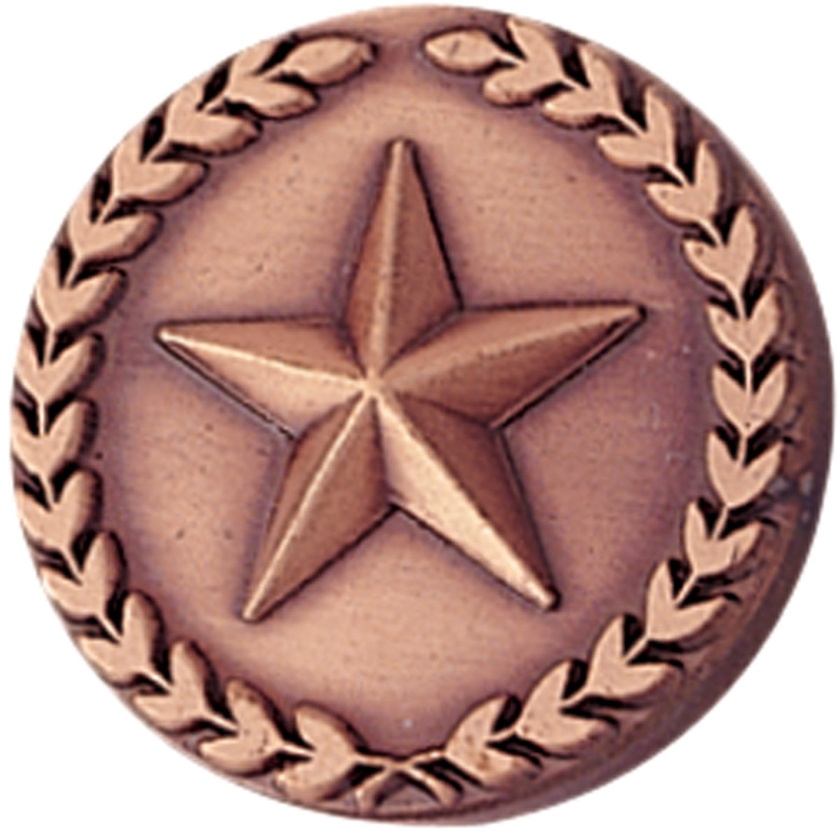 School Pin, Bronze Star with Wreath