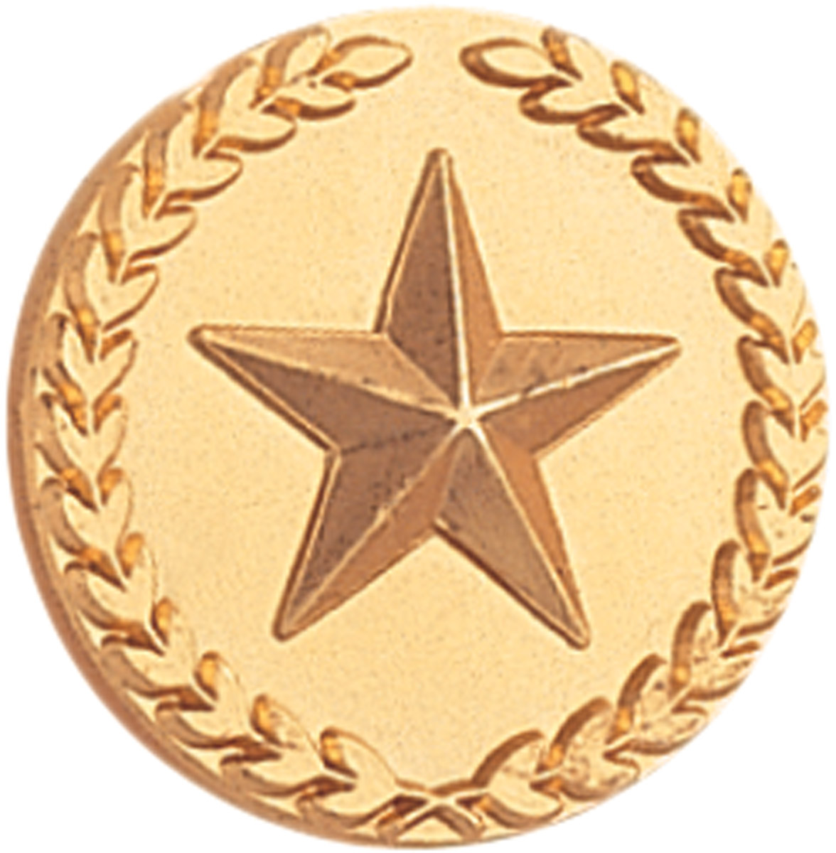 School Pin, Gold Star with Wreath