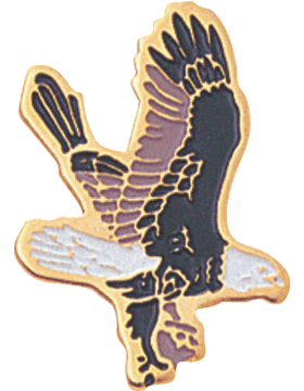 Enameled School Mascot, Falcon