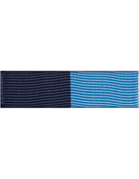 U-R234 Navy and Light Blue #875