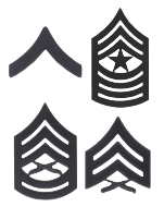 Enlisted Subdued Rank