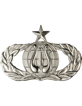 Air Force Badge No Shine Full Size Band