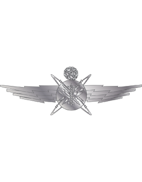 Air Force Badge No Shine Full Size Officer Cyberspace Operator